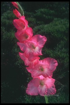 フラワーズ Painting - xsh0240b 写真からのリアリストの花